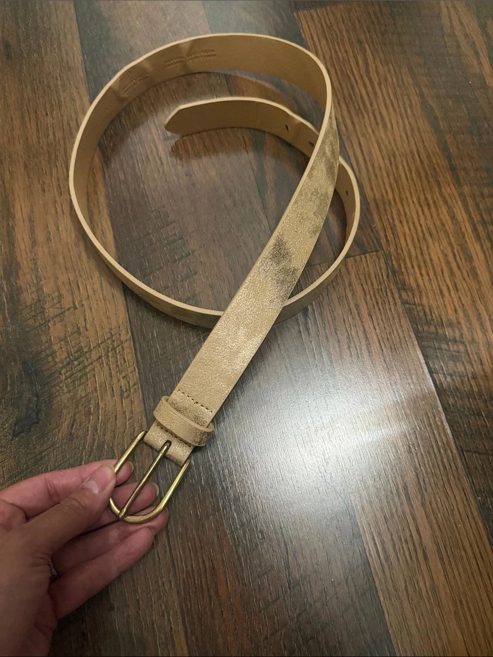 Nude Metallic Leather Belt with Gold Buckle Large